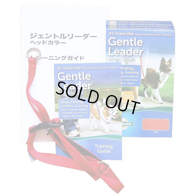 画像1: PetSafe ジェントルリーダー日本語説明書付きセット (パッケージ無し) [メール便OK] (1)