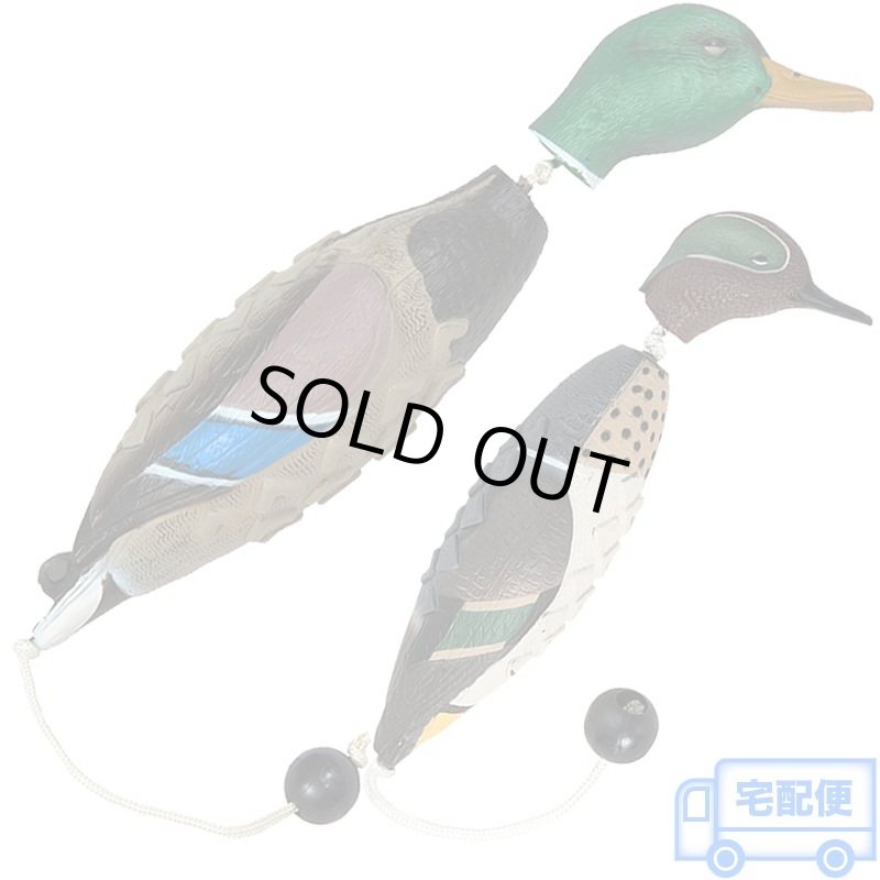 画像1: Avery イージーバード (1)