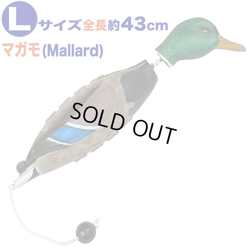 画像4: Avery イージーバード (4)