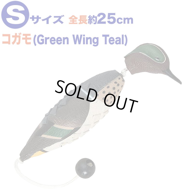 画像5: Avery イージーバード (5)