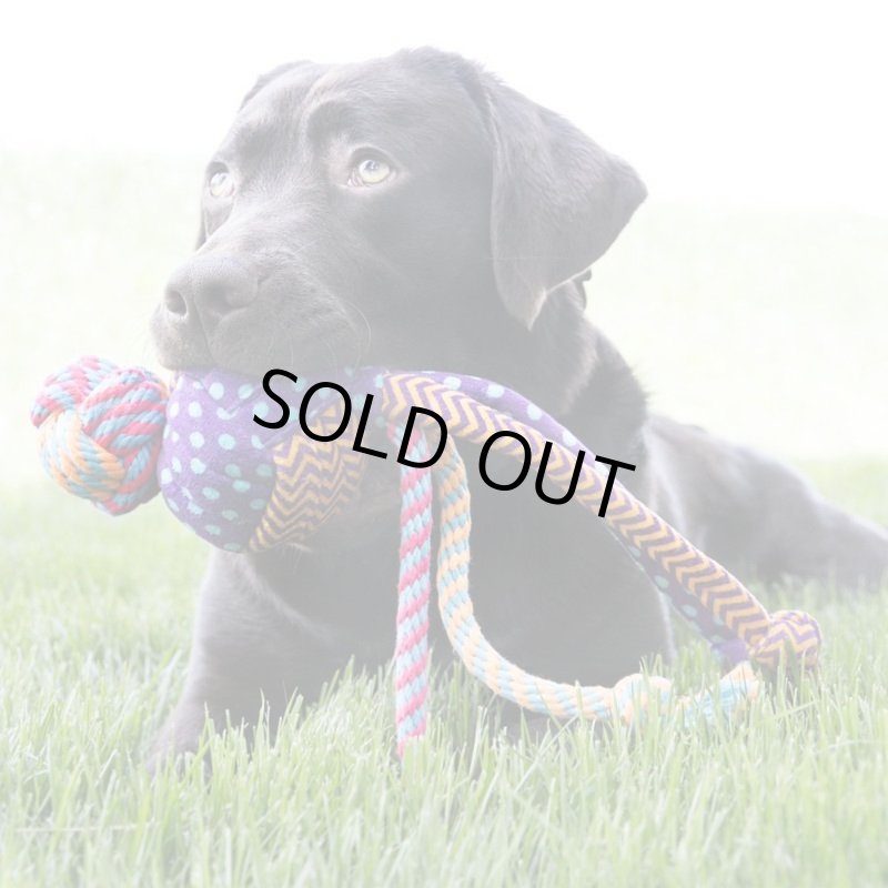 画像2: KONG コングウァバ メドレー (2)