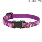 画像12: Lupine 1.3cm幅 アジャスタブル首輪 [メール便OK] (12)