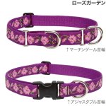 画像13: Lupine 2.5cm幅 マーチンゲール首輪 [メール便OK] (13)