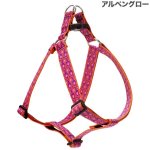 画像3: Lupine 2.5cm幅 ステップインハーネス M(19-28)サイズ [メール便OK] (3)