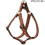 画像12: Lupine 2.5cm幅 ステップインハーネス M(19-28)サイズ [メール便OK] (12)