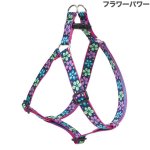 画像13: Lupine 2.5cm幅 ステップインハーネス M(19-28)サイズ [メール便OK] (13)