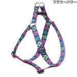 画像13: Lupine 2.5cm幅 ステップインハーネス M(19-28)サイズ [メール便OK] (13)