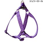 画像6: Lupine 2.5cm幅 ステップインハーネス M(19-28)サイズ [メール便OK] (6)