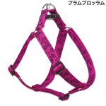 画像15: Lupine 2.5cm幅 ステップインハーネス M(19-28)サイズ [メール便OK] (15)