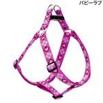 画像7: Lupine 2.5cm幅 ステップインハーネス M(19-28)サイズ [メール便OK] (7)