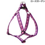 画像8: Lupine 2.5cm幅 ステップインハーネス M(19-28)サイズ [メール便OK] (8)