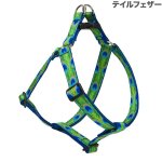 画像9: Lupine 2.5cm幅 ステップインハーネス M(19-28)サイズ [メール便OK] (9)