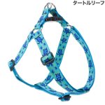 画像10: Lupine 2.5cm幅 ステップインハーネス M(19-28)サイズ [メール便OK] (10)