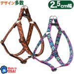 画像1: Lupine 2.5cm幅 ステップインハーネス M(19-28)サイズ [メール便OK] (1)