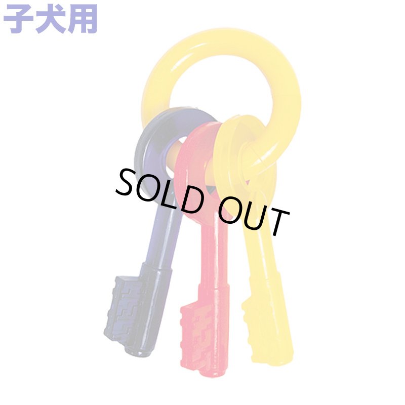 画像1: Nylabone パピーティージングキー [メール便OK] (1)