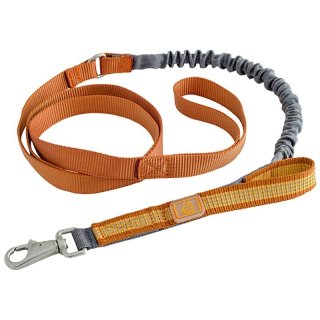 ラティーゴレザーリード&首輪 首輪 - 犬用品・ドッグフードのプロショップ | ゼット物産