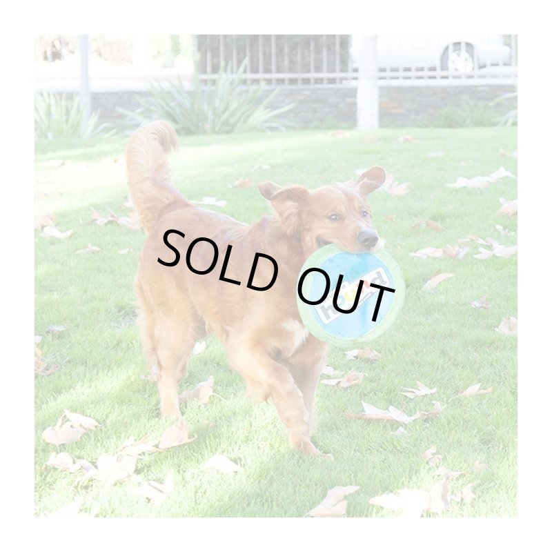 画像2: Outward Hound ソフトフェッチフライヤー (2)