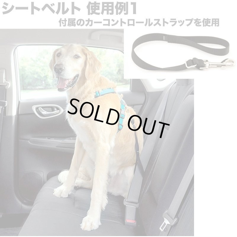 画像8: PetSafe 3in1 ハーネス [メール便OK] (8)