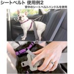 画像9: PetSafe 3in1 ハーネス [メール便OK] (9)