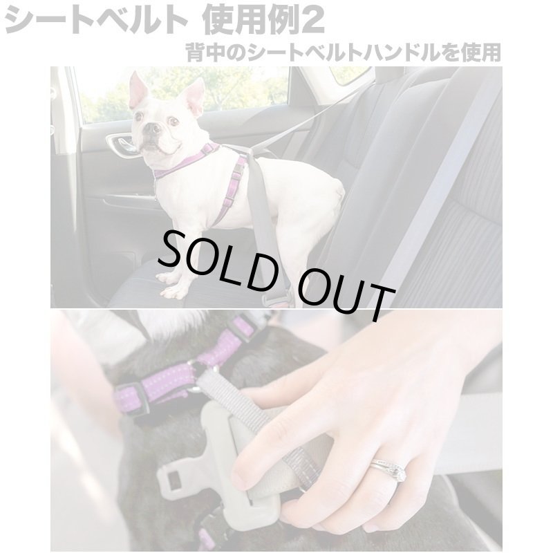 画像9: PetSafe 3in1 ハーネス [メール便OK] (9)