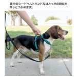 画像10: PetSafe 3in1 ハーネス [メール便OK] (10)