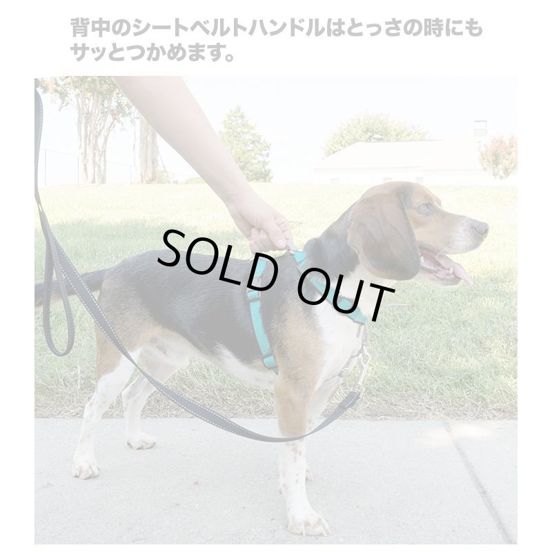 画像10: PetSafe 3in1 ハーネス [メール便OK] (10)