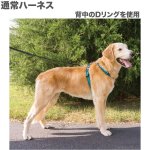 画像6: PetSafe 3in1 ハーネス [メール便OK] (6)