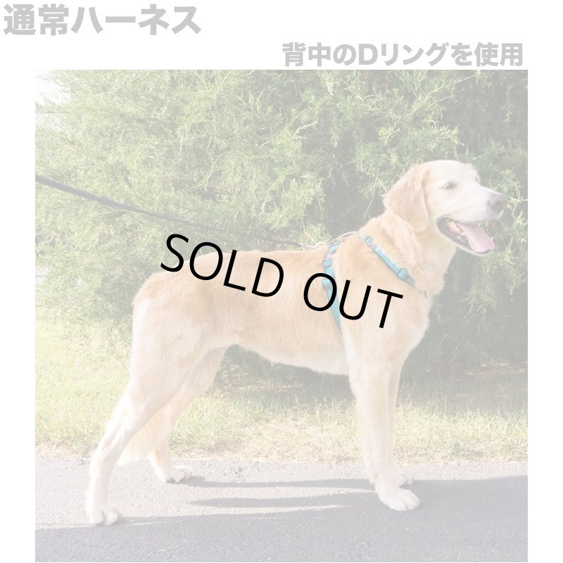 画像6: PetSafe 3in1 ハーネス [メール便OK] (6)