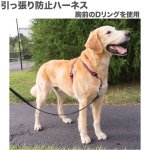 画像7: PetSafe 3in1 ハーネス [メール便OK] (7)