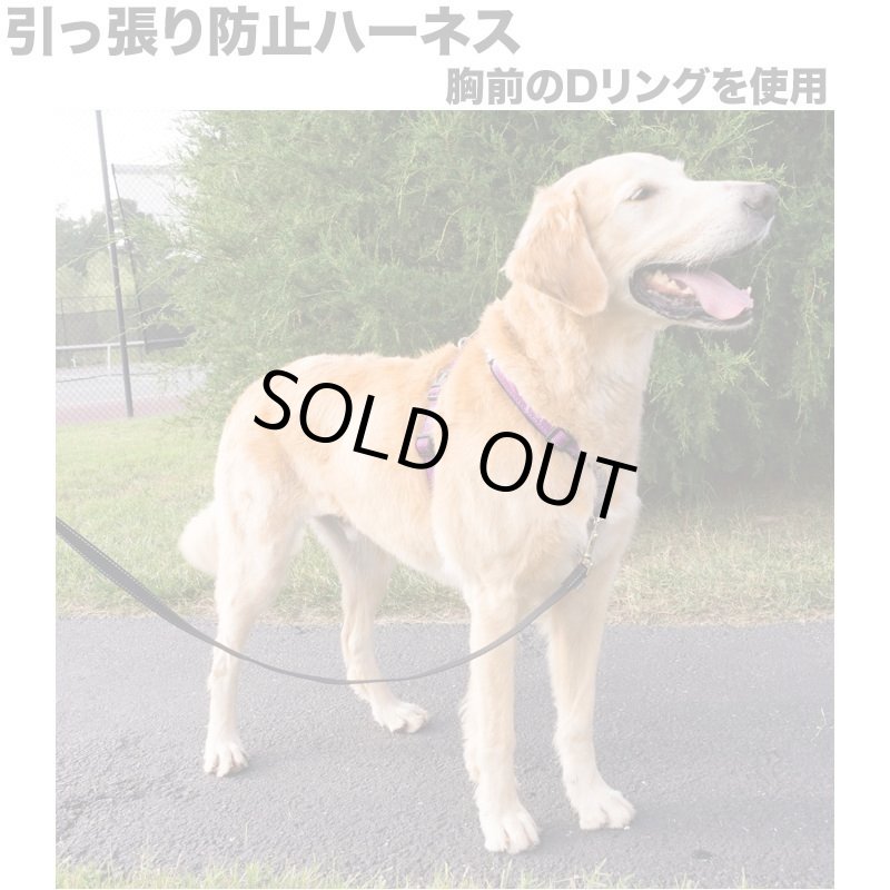 画像7: PetSafe 3in1 ハーネス [メール便OK] (7)