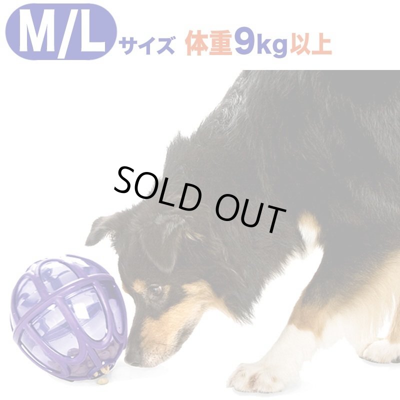 画像5: ビジーバディ キブルニブル (5)