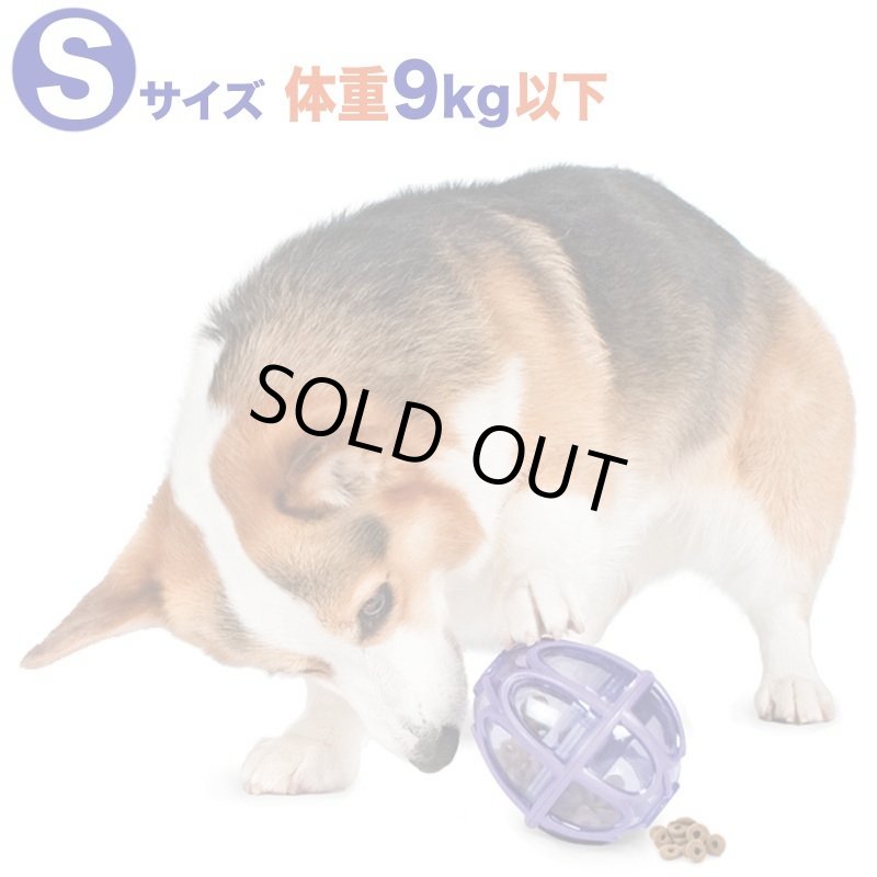 画像4: ビジーバディ キブルニブル (4)