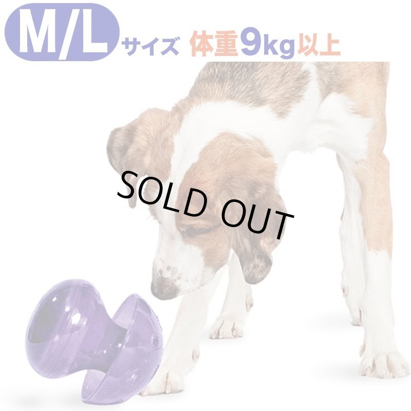 画像5: ビジーバディ マジックマッシュルーム (5)