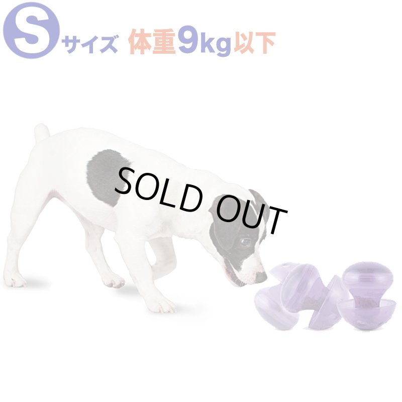 画像4: ビジーバディ マジックマッシュルーム (4)