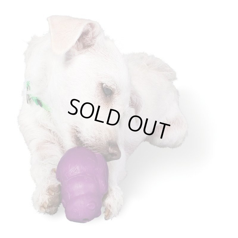 画像3: ビジーバディ スクワール (3)