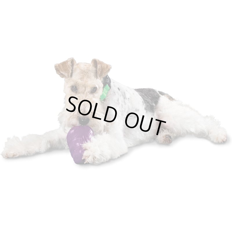 画像4: ビジーバディ スクワール (4)