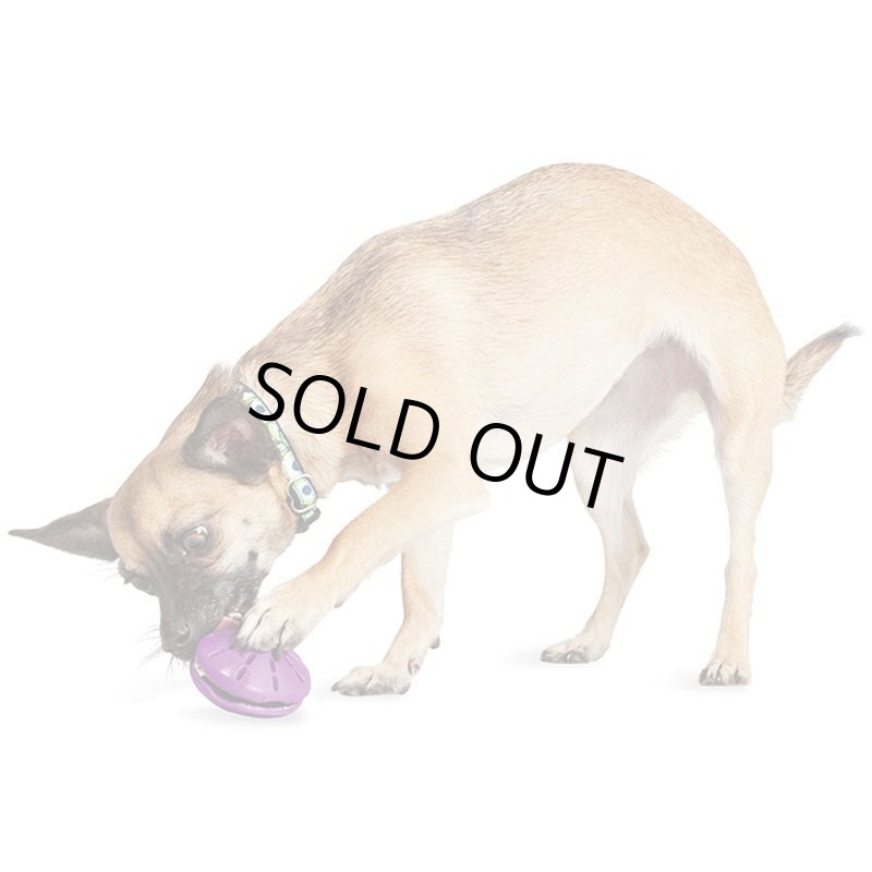 画像3: ビジーバディー ツイストントリート (3)