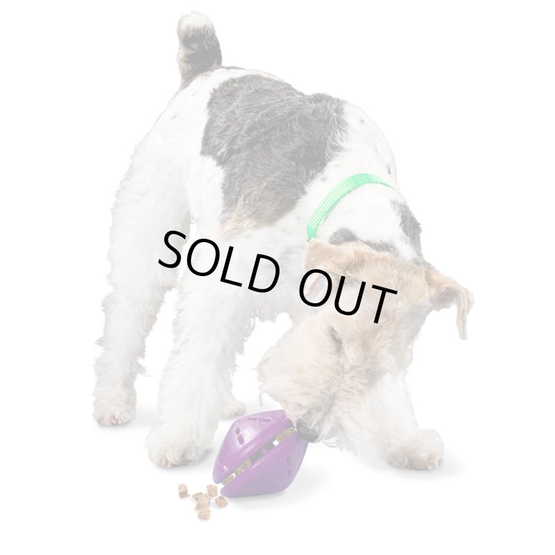 画像4: ビジーバディー ツイストントリート (4)