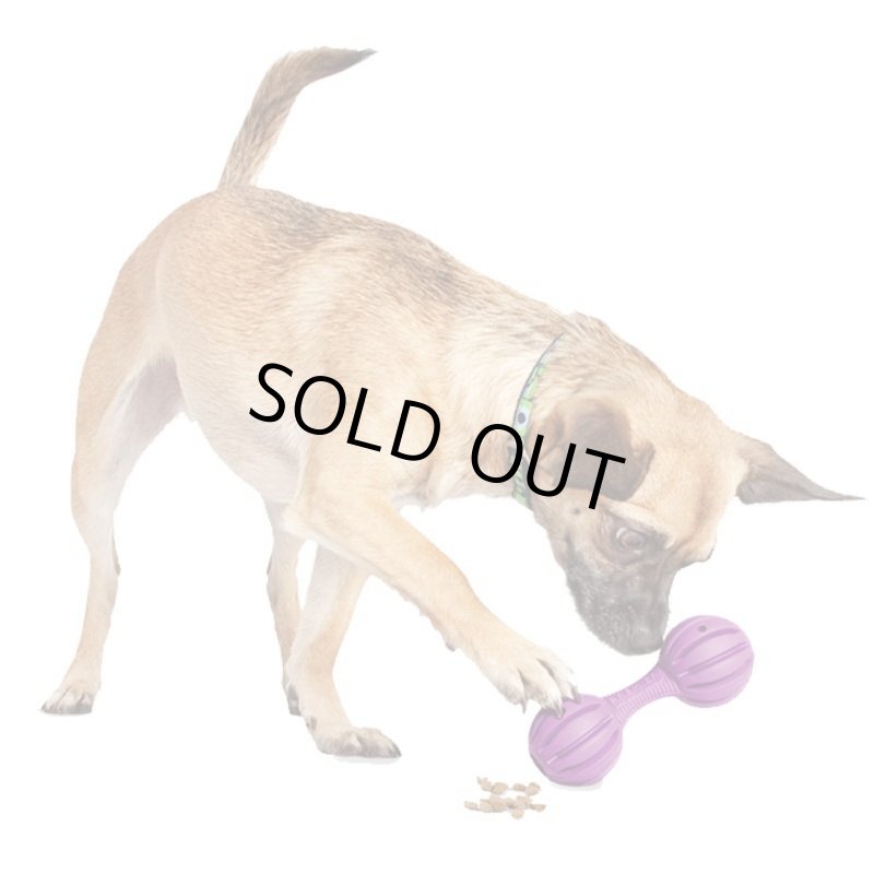 画像2: ビジーバディー ワグル (2)