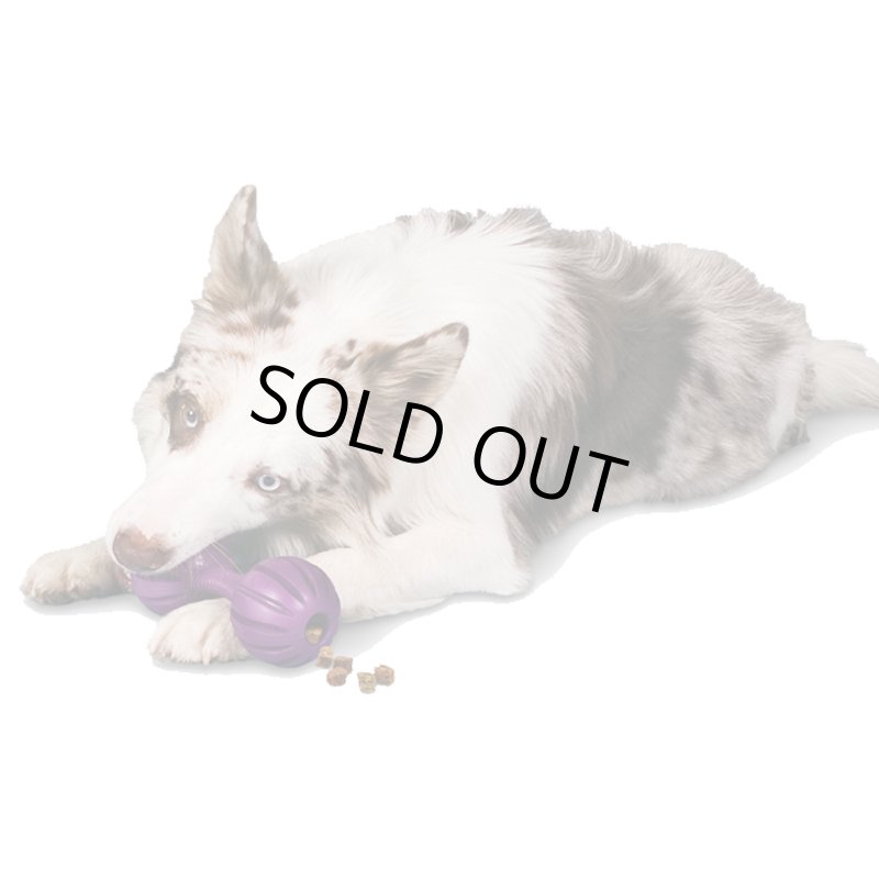 画像3: ビジーバディー ワグル (3)