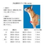 画像3: PetSafe イージーウォークハーネス (パッケージ無し) [メール便OK] (3)