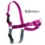 画像6: PetSafe イージーウォークハーネス (パッケージ無し) [メール便OK] (6)