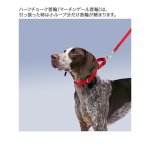 画像5: PetSafe プレミアカラー [メール便OK] (5)