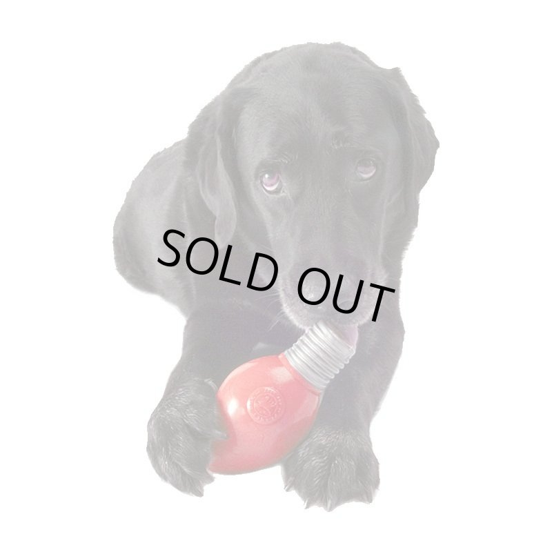 画像2: Planet Dog バルブ (2)