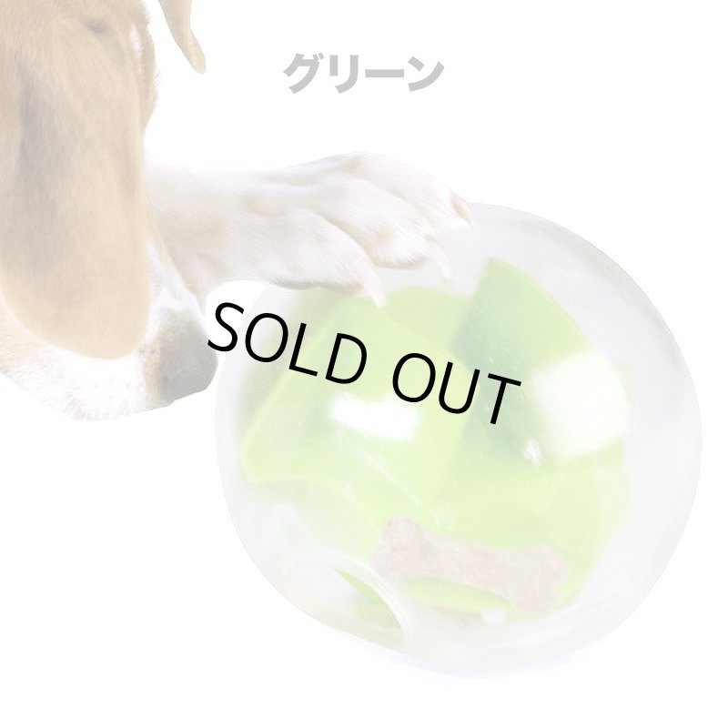 画像3: Planet Dog メイズ (3)