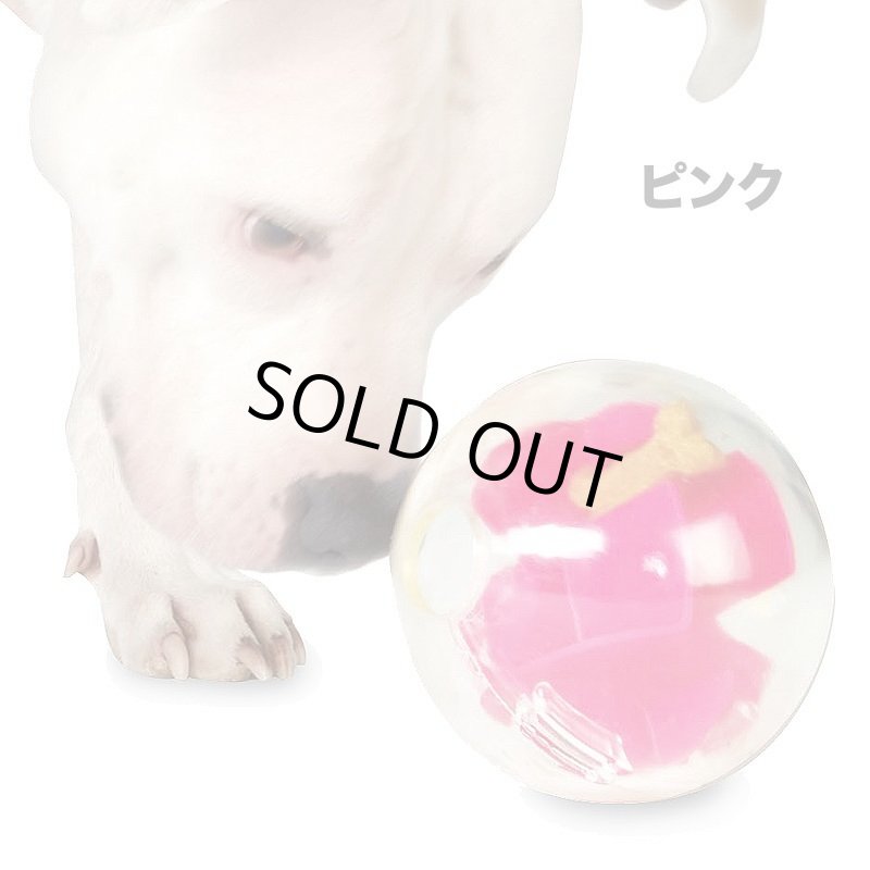 画像2: Planet Dog メイズ (2)