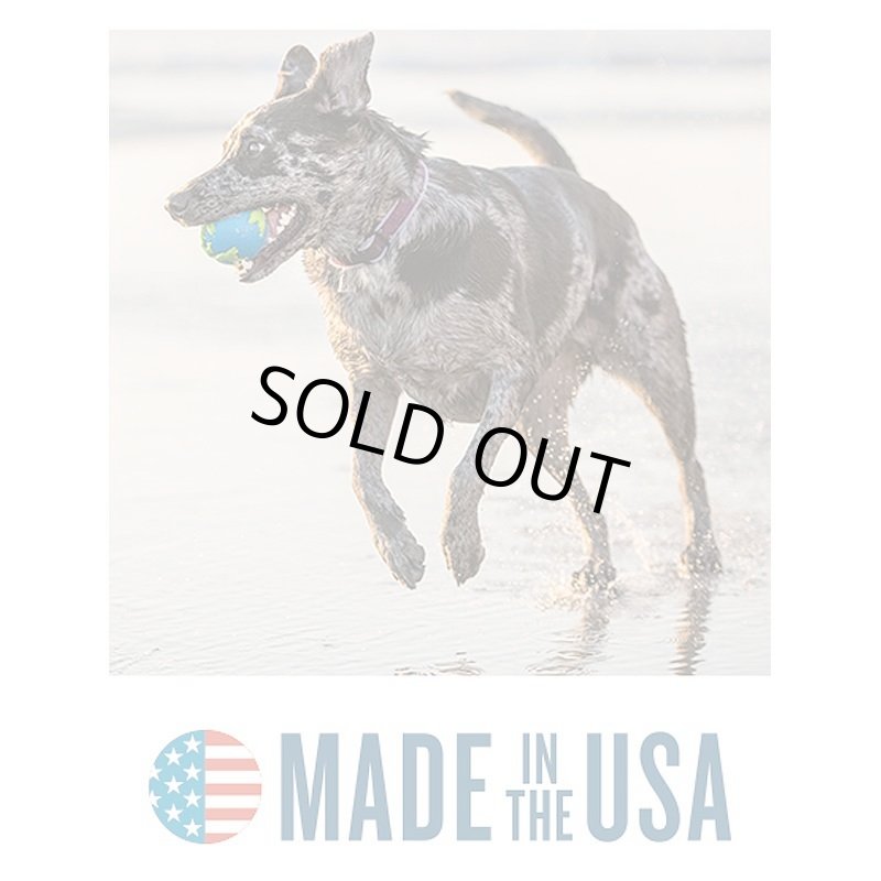 画像2: Planet Dog オービーボール (2)