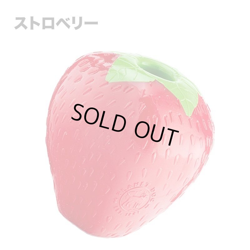 画像3: Planet Dog オービープロデュース (3)