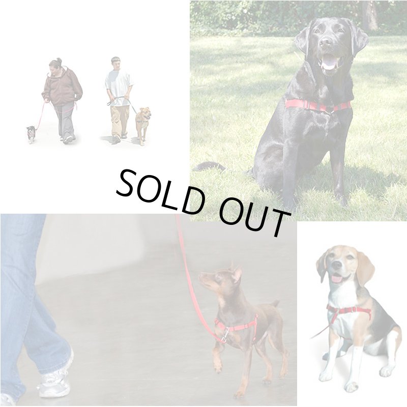 画像2: センシブルハーネス 引っ張り防止胴輪 [メール便OK] (2)