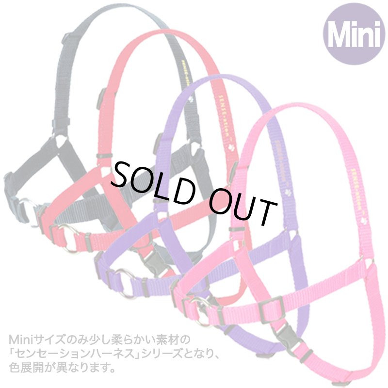 画像3: センシブルハーネス 引っ張り防止胴輪 [メール便OK] (3)